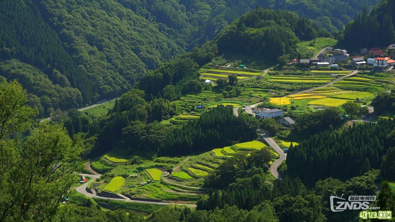 深夜电台的第七位来电者
